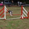 foire-haricots 2011-09-17et18